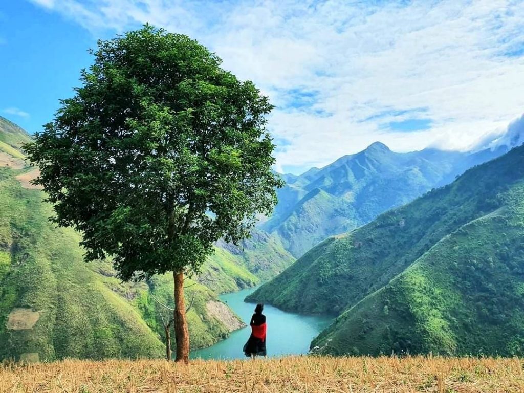 Ngắm nhìn thiên nhiên tuyệt đẹp tại cây cô đơn