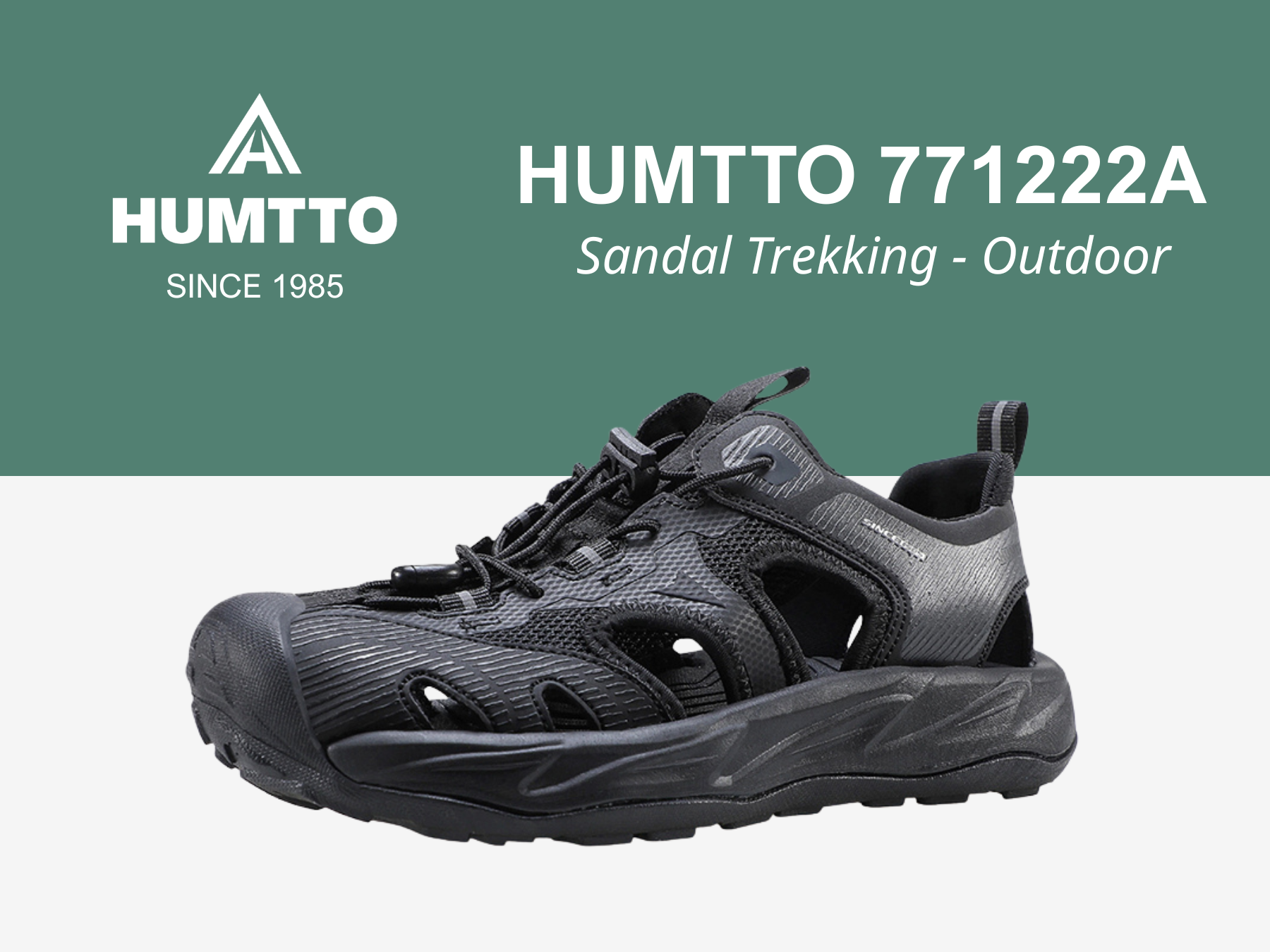 giay humtto 771222 (2)