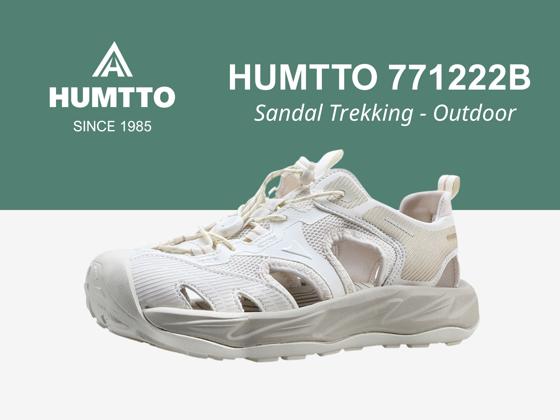 giay humtto 771222 (3)
