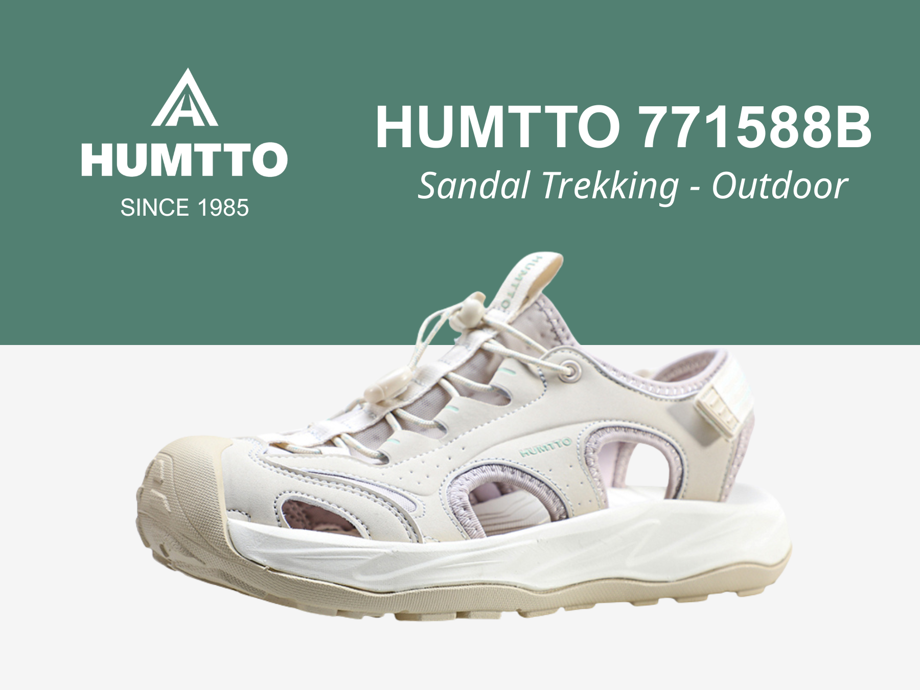 giay humtto 771588 (3)